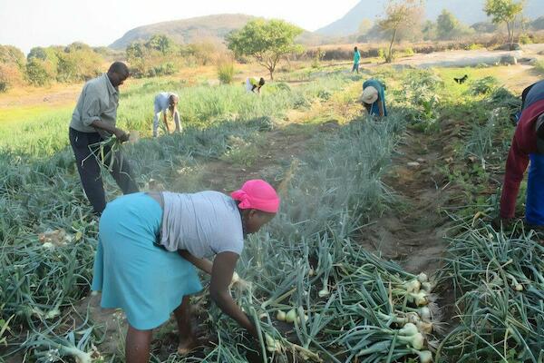¡La lucha por la justicia agraria en Zimbabue, Sudáfrica y en todo el Sur Global no es sólo una lucha local, es una lucha global!