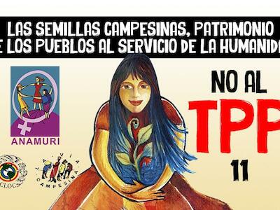 ¡Las mujeres de ANAMURI decimos NO al TPP!