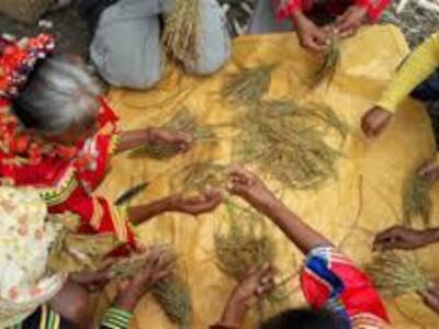 ¡Que no nos engañen otra vez! Veinte años de mentiras sobre el Arroz Dorado