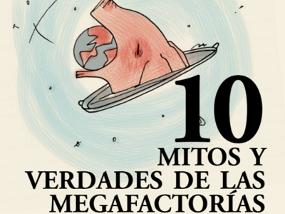 10 mitos y verdades de las megafactorías de cerdos que buscan instalar en Argentina