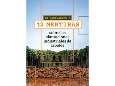 12 respuestas a 12 mentiras sobre las plantaciones industriales de árboles