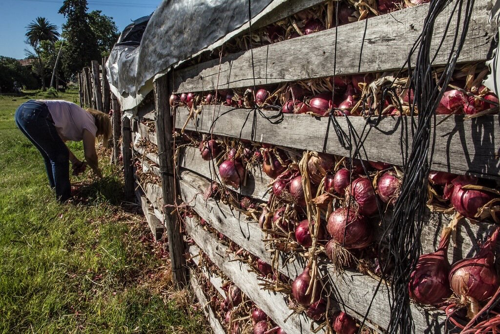 30 de abril: día de la trabajadora y el trabajador rural