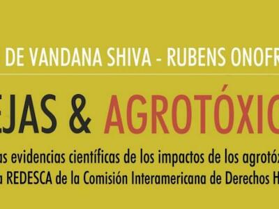 Abejas  y agrotóxicos