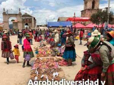 Agrobiodiversidad y semillas en la agricultura familiar campesina. Revista LEISA volumen 35, número 2