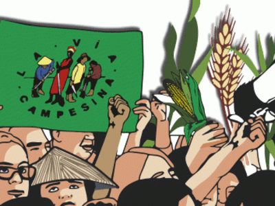 Apoyo mayoritario al Informe para una Declaración de los Derechos Campesinos en la ONU