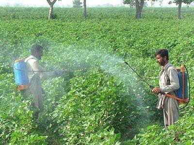 Atlas de los Pesticidas: la huella de un negocio tóxico en el mundo