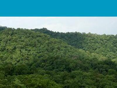 Boletín #246 del WRM - Una transición energética “verde” intensiva en minerales: deforestación e injusticia en el Sur global | 