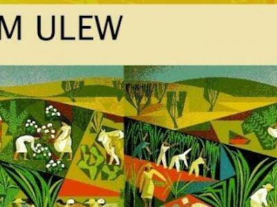 Boletín Nyéléni #36: Agroecología. Innovación real desde y para los pueblos