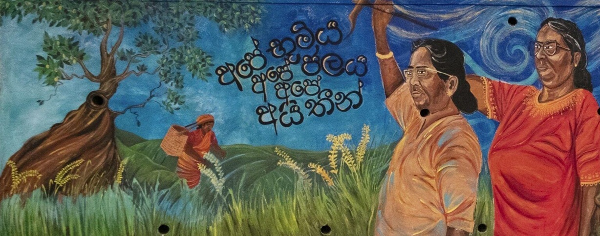 Boletín Nyéléni #62– 3er Foro Nyéléni: Construyendo solidaridad mundial para una transformación sistémica