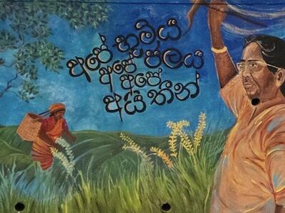 Boletín Nyéléni #62– 3er Foro Nyéléni: Construyendo solidaridad mundial para una transformación sistémica