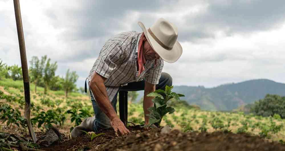 Capitalismo, agricultura y cambio climático | Biodiversidad en América Latina