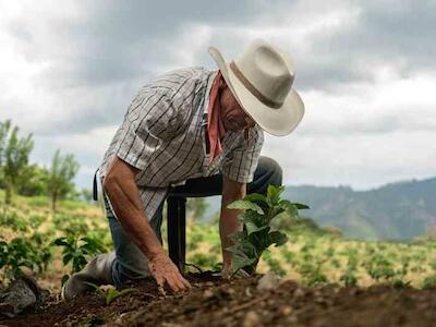 Capitalismo, agricultura y cambio climático