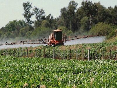 Carta de las comunidades fumigadas al Gobierno de la Provincia de Buenos Aires