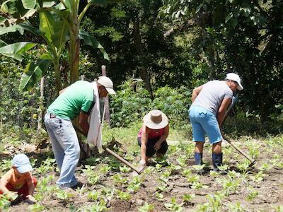 Cloc - Vía Campesina: “Volver al Campo”