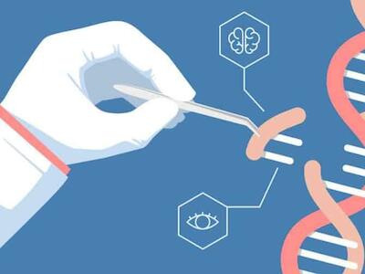 Crispr causa graves alteraciones en embriones humanos