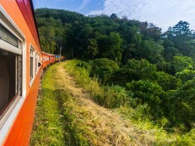 Daños por el Tren Maya no compensan «ninguno de sus buenos propósitos»