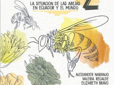 De la A a la Z: La situación de las abejas en Ecuador y el mundo