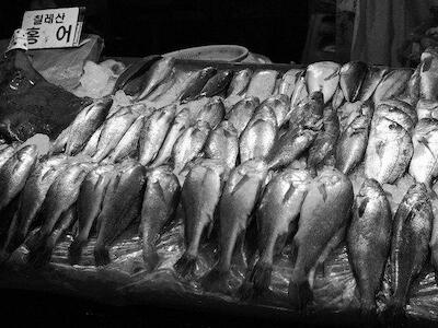 Mercado de pescado de Jagalchi, Corea del Sur; Foto: Justin De La Ornellas - Flickr