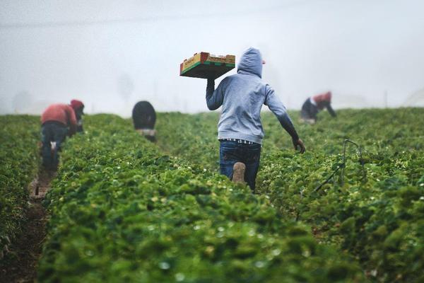Foto del sitio: Cuentame Algo Bueno