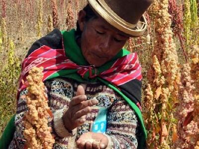 Declaración de las Naciones Unidas sobre los Derechos de los Campesinos y de otras personas que trabajan en las zonas rurales