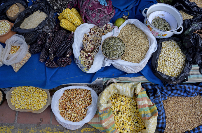 Declaración del Tribunal Permanente de los Pueblos en defensa de las semillas 