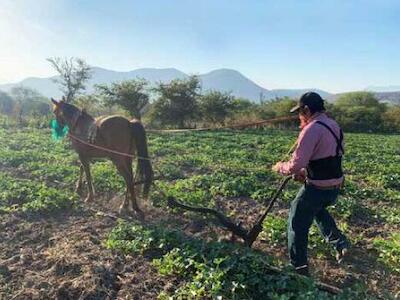 - Foto de Paola Uribe