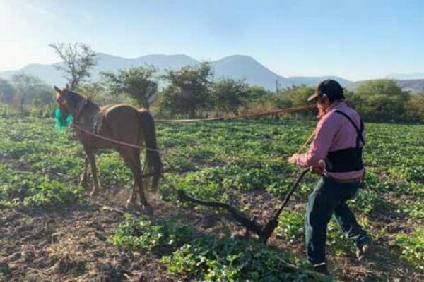 - Foto de Paola Uribe