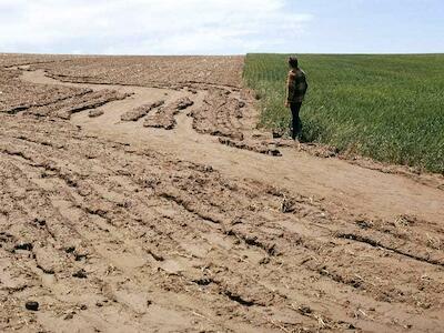 Del acaparamiento de tierras de cultivo al acaparamiento de suelos: la captura de carbono, un nuevo negocio