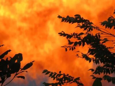 Derechos de la Naturaleza en tiempos de guerra