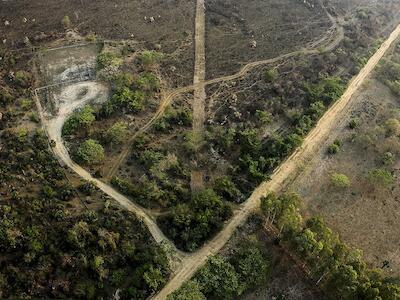 Destrucción ambiental, crisis climática y agricultura industrial: la pandemia perfecta