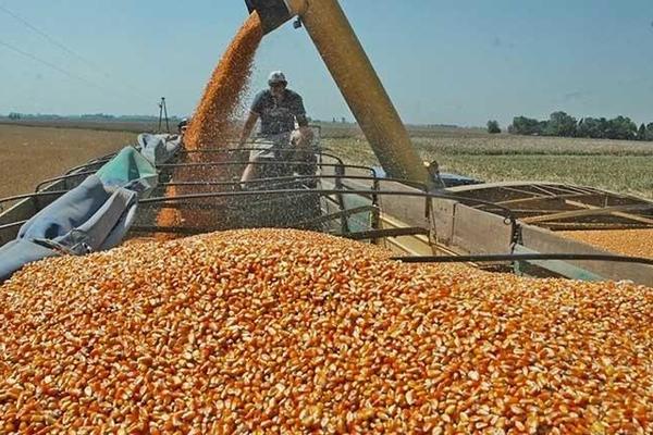 EFTA-Mercosur: otro golpe bajo contra el clima, los derechos de los pueblos y la soberanía alimentaria