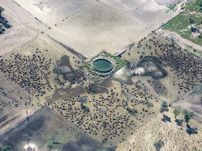 El acaparamiento de tierras por el agronegocio también se cobra vidas en América Latina