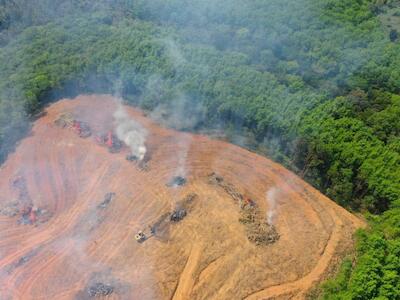 El cambio climático es la destrucción ecológica: Greenwashing y falsas soluciones en la COP 26