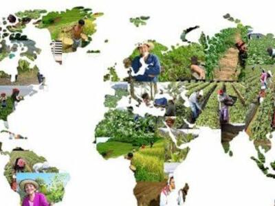 El Consejo de Derechos Humanos de las Naciones Unidas aprueba la resolución relativa a la Declaración sobre los derechos de lxs campesinxs en Ginebra