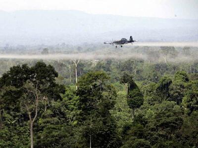 El gobierno de Colombia reanudará fumigaciones aéreas para la erradicación de cultivos ilícitos en la frontera con Ecuador 