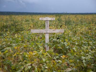 - Foto tomada del Atlas del agronegocio transgénico en el Cono Sur