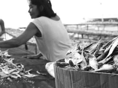 El informe sobre el Estado del Derecho a la Alimentación y a la Nutrición revela una historia alternativa sobre el hambre