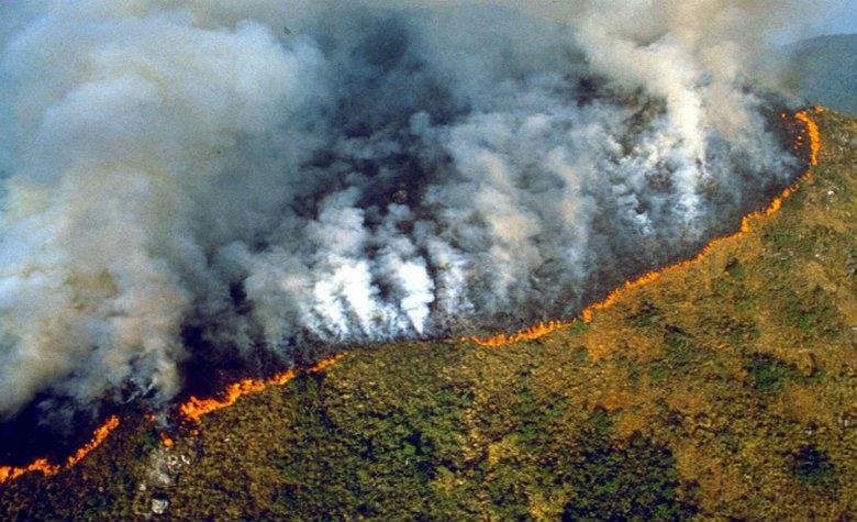 El modelo agroindustrial y los incendios amazónicos | Biodiversidad en  América Latina