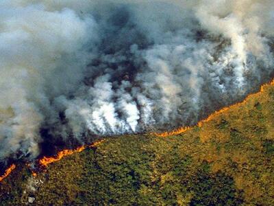 El modelo agroindustrial y los incendios amazónicos 