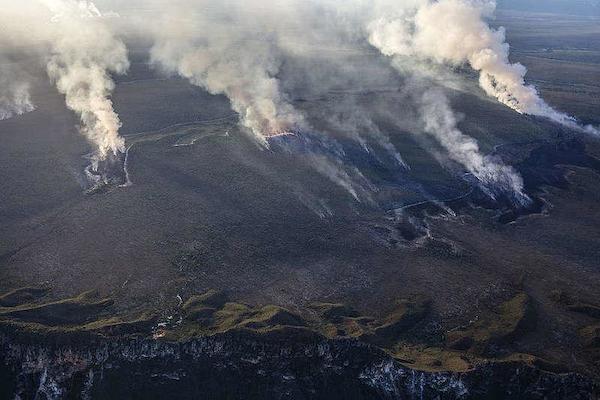 Foto: Greenpeace