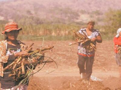 Em tempo de crise: Defesa da vida, solidariedade, organização e luta