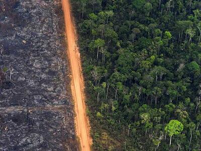 Emergência climática: mais letal que a emergência sanitária