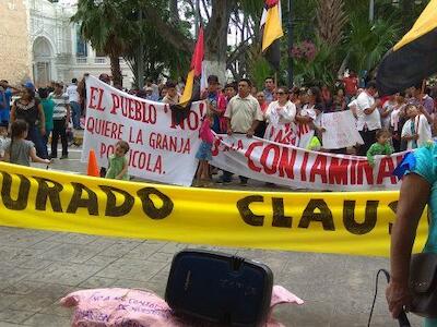 En Yucatán, victoria legal para la resistencia contra mega-granjas porcícolas