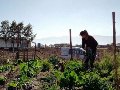 - Foto de MNCI Somos Tierra - Vía Campesina