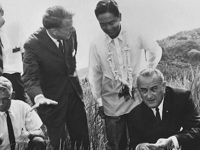 Quienes promovieron la Revolución Verde cambiaron la estructura de la planta de arroz, y más tarde la del trigo, y reprodujeron variedades semi-enanas que no se caen si se les aplica fertilizante nitrogenado. En 1966, junto con el presidente filipino Ferdinand Marcos, el presidente estadounidense Lyndon Johnson visitó el Instituto Internacional de Investigación sobre el Arroz para ver en persona el "arroz milagroso". Foto: Rockefeller Archive Center