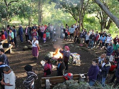 Guatemala: Las semillas campesinas e indígenas representan la vida, la libertad y su historia