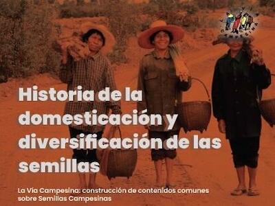 Historia de la domesticación y diversificación de las semillas