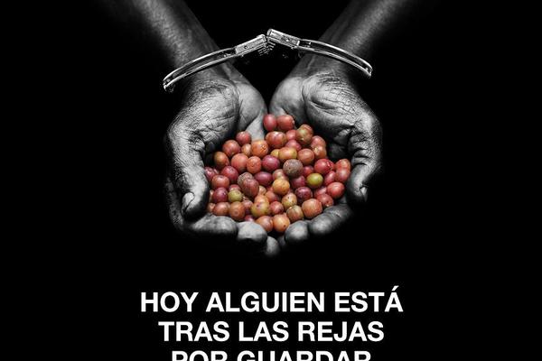 Hoy alguien está tras las rejas por guardar semillas
