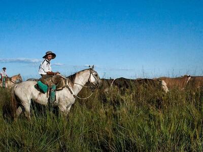 Humedales en riesgo: el Gobierno planea avanzar sobre un millón de hectáreas