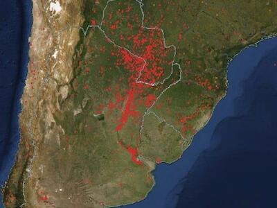 Incendios, sequías, ola de calor: ¡Basta de ecocidio!